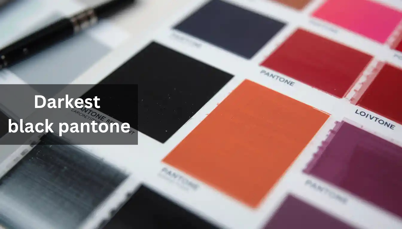 darkest black pantone