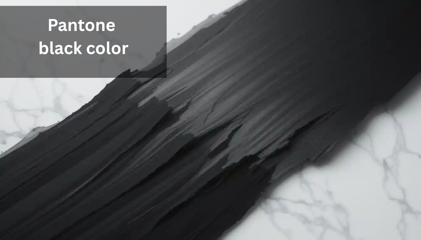 pantone black color