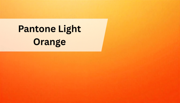 Pantone Light Orange: Vibrant Color Trends and Uses in India